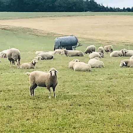 Awesome In With Kitchen *