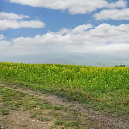 Awesome In With Kitchen 度假居