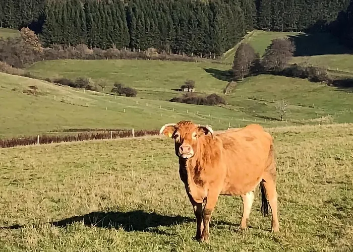 Awesome In With Kitchen * Müllenbach