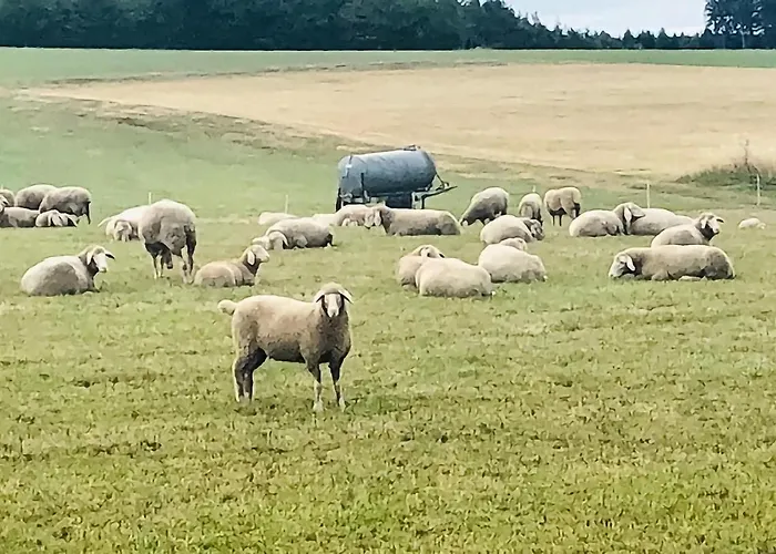 Awesome In With Kitchen *